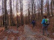 73 Scendiamo sulla strada agrosilvopastorale  in splendida faggeta